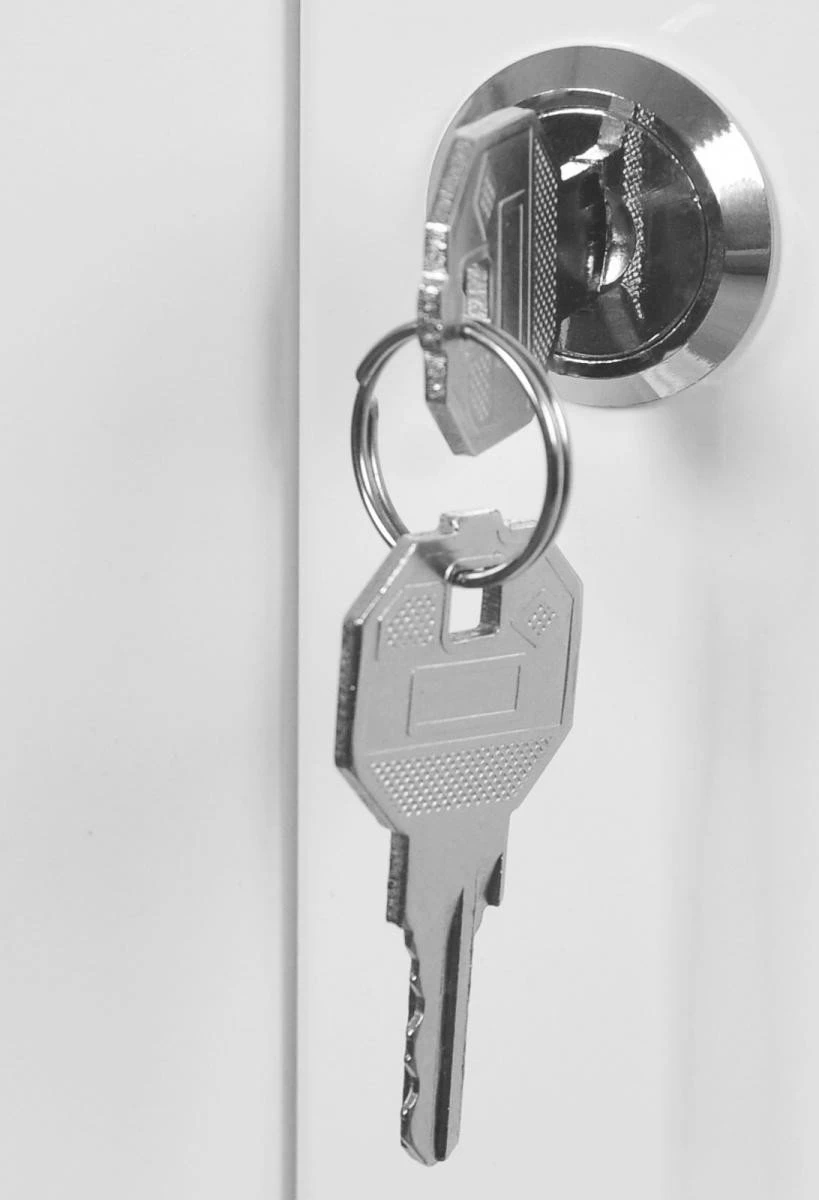 Jago - Afsluitbare XXL Medicijnkast Met 11 Vakken/Compartimenten - Staal - 2 Deuren - 53x53x20 Cm - Wit - Afbeelding 15